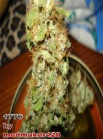 medmaker420-1776-bud-shot.jpg