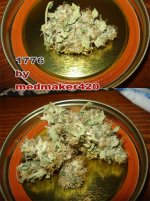 medmaker420-1776-bud.jpg