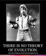 celebrity-pictures-chuck-norris-there-is.jpg