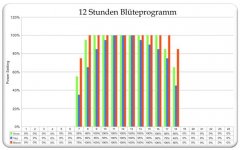 BloomProgramm.jpg