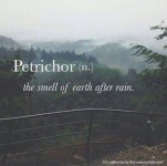 petrichor..jpg