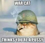 war cat .jpg