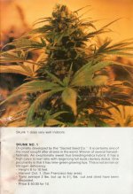 SeedBank-Catalog03-1987-Page03of16-MP.jpg