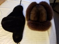 The Fur Twins.jpg