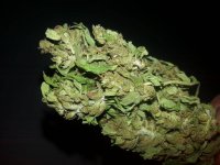 white widow 1.jpg