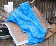 IMG_6959_tarp.jpg