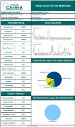 Panama Diosa análisis terpenos.jpg