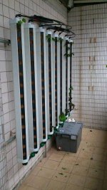 THDC_8_tube_wall_mounted_vertical_hydroponic_growtube_system_05_w.jpg