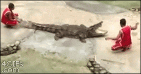 Trainer-head-crocodile-mouth-1326304907.gif