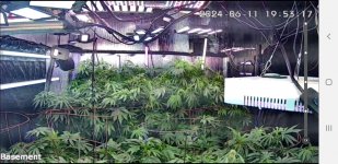 20240611-195326 growroom 1.jpg