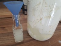 kefir-serum_20240716.jpg