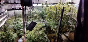 20240728_Grow Room.jpg