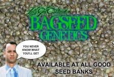 bagseed.jpg