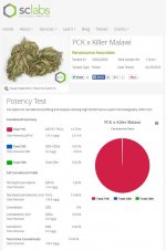 Malawi x PCK green pheno JY cannabinoid analysis.jpg