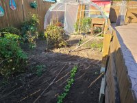 hoop houses.jpg