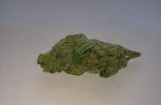 Blue Cush x Larrys Lemon Cookies260616.jpg