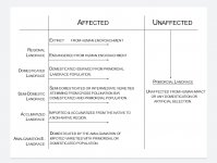 classification-3.jpg