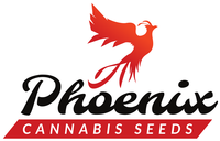 PhoenixSeeds_logo (1) (1).png