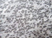 This is how big elephant herds used to be -1950s.jpeg