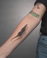 The shadow work on this tatoo.jpeg