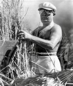 A staged propaganda photo of facist leader, Benito Mussolini harvesting wheat in 1938.jpeg