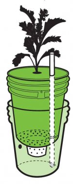 Self-watering-container.jpg