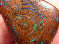 100 million year old tree fossil with fire opal growth rings.jpeg