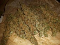 Ethiopian Sativa Buds From May 2017 Indoor Harvest.jpg