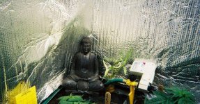 Buddha_in_old_room.jpg