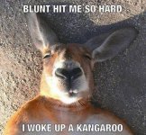 kangaroo.jpg