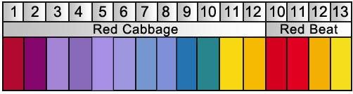 organph.jpg