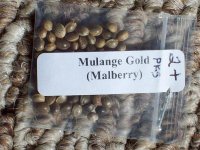 ORIGINAL MULANJE SEED 005.jpg