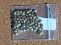 ORIGINAL MULANJE SEED 006.jpg