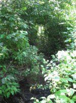 001 West Brush Tunnel Looking South.jpg