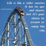 4cf16a0f1f43e42738cc2d9ff04d2e2a--roller-coasters-rollers.jpg