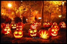 halloween-weed-pumpkin-carving-weedmemes.jpg