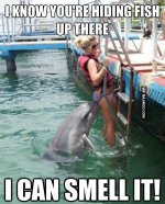 funny-naughty-dolphin-pics-with-lady.jpg