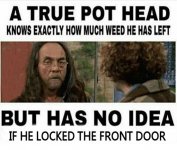 pot-head.jpg