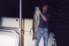 Chesapeake Bay striper.jpg