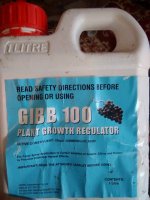 gibbacid.jpg