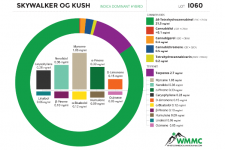 Skywalker-OG-Kush-Oil.png