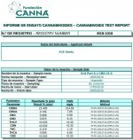ErdPurt A x CBD 1 #3 análisis de cannabinoides.jpg