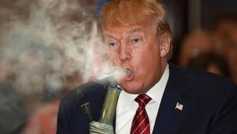 trump's bong.jpg