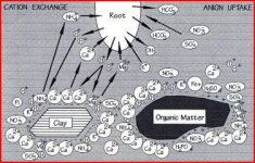 soil3m