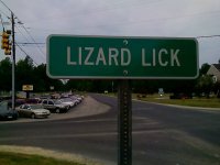 lizard lick.jpg