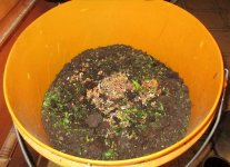 compost (2).JPG