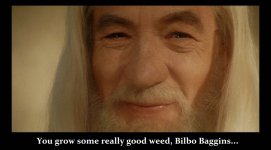 gandalf.jpg