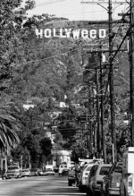 (1976)hollyweed.jpg