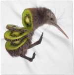 kiwi.jpg