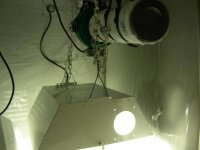 250 watt hut-2.jpg